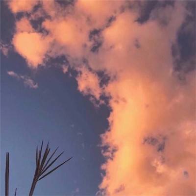 英雄计划bt版下载